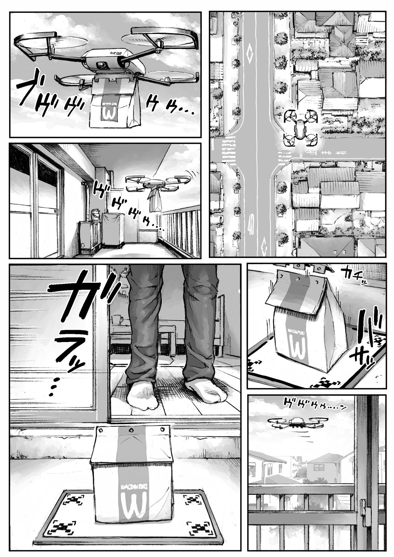 WARDIAN CASE page 1 full