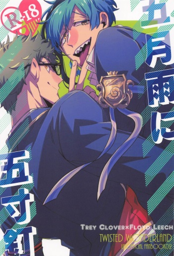 (Beckon of the Mirror 9) [Lemonade Kaibouzu (Namagomi)] Samidare ni Gosunkugi (Disney: Twisted-Wonderland) cover