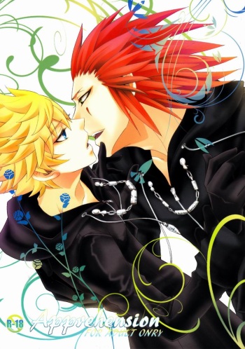 (C78) [CUBE (hana)] Apprehension (Kingdom Hearts) [English] [arix] cover