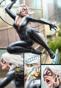 : The Superior Blackcat!?
