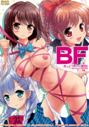 (SC65) [AnorakPost, Chidorinu (Akiyoshi Yoshiaki, Chidorinu)] BF (Kasei) - Boy Friend PHOMOSIS (Girl Friend BETA) cover