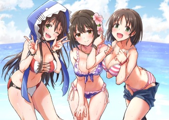 [Hoshicha] WFD Mizugi Ecchi Matome (THE IDOLM@STER CINDERELLA GIRLS) cover