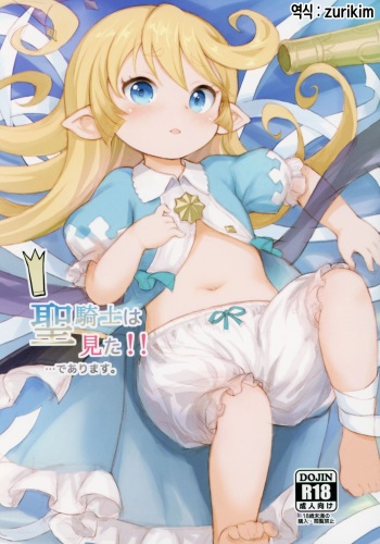 (C97) [CrawlNest (Eine)] Seikishi wa Mita!! ...de Arimasu (Granblue Fantasy) [korean] cover