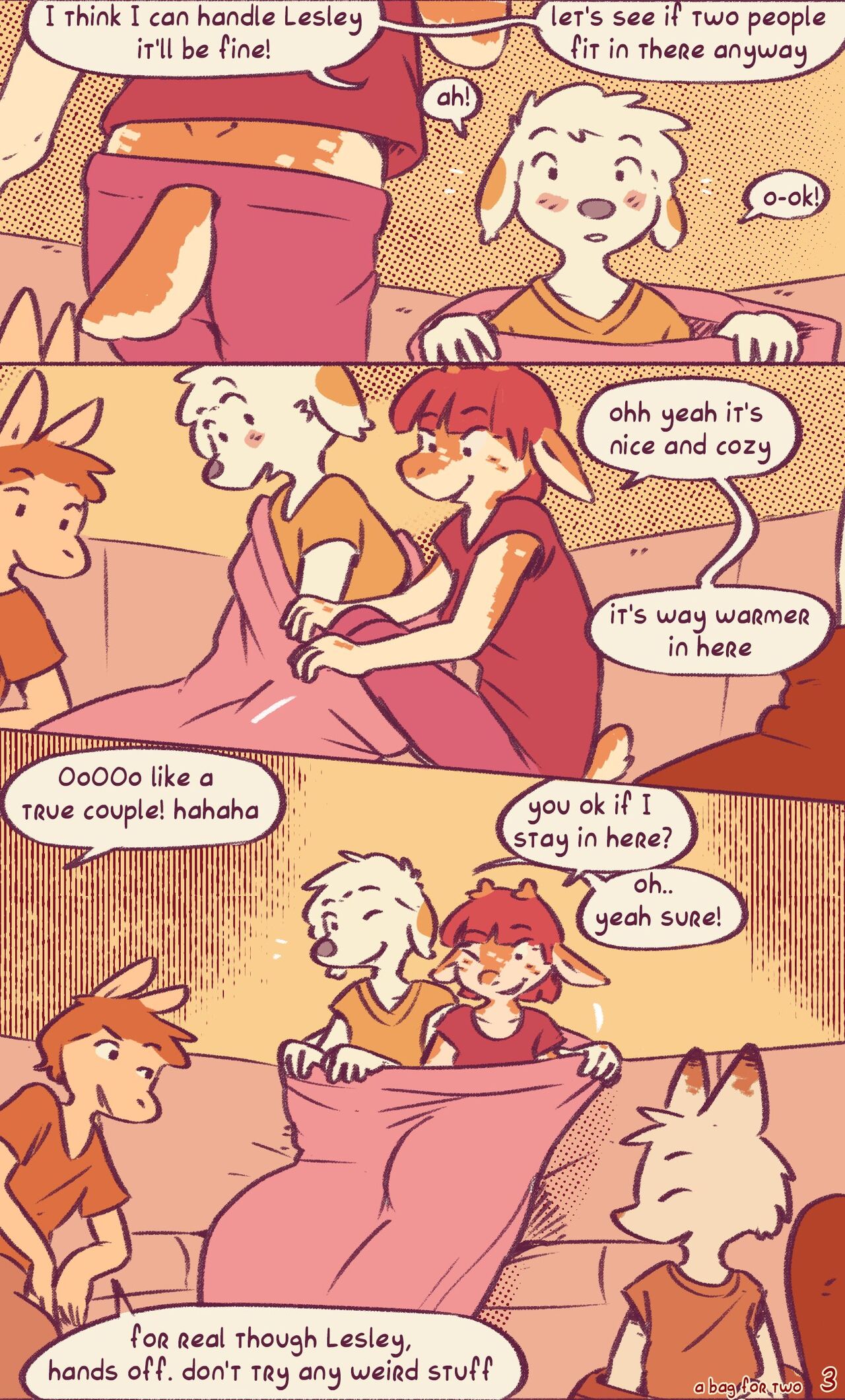 A Bag For Two page 3 full
