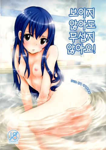 (COMIC1☆5) [Arcana Club (Arcana Mi)] Mienakute mo Kowakunai desu yo! | 보이지 않아도 무섭지 않아요! (Fairy Tail) [Korean] [이거맛좀봐] cover