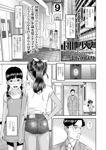 [平屋のぼり] 団地少女 Wonderful Environment ch.1-3 cover