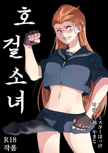 [Mr. Hokke (Yamato Yukigoe)] Goketsu Girl | 호걸소녀 [Korean] [Low Quality] cover