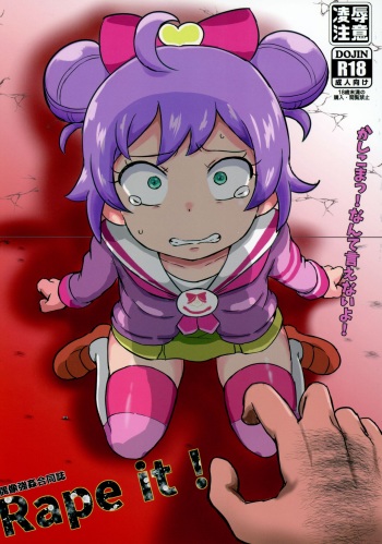 (C95) [Okazu Company (Various)] Rape it! (PriPara) cover