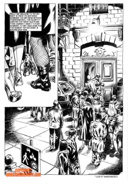 Transfrancisco In Paris