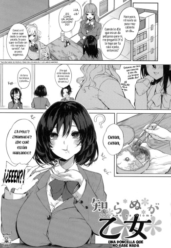 [Kurokawa Otogi] Shiranu ga Otome | Una doncella que no sabe nada (Paizuri) [Spanish] [NeoDarkFansub] cover
