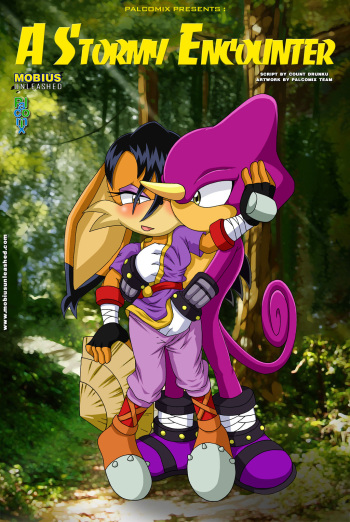 [Palcomix] A Stormy Encounter | (Sonic the Hedgehog) (English) cover