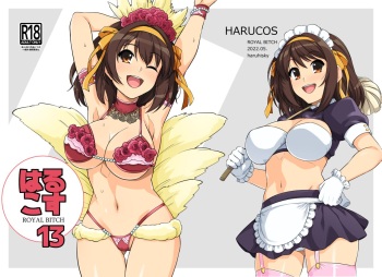[Royal Bitch (haruhisky)] Harucos 13 (Suzumiya Haruhi no Yuuutsu) [Digital] cover