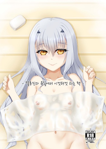 (C99) [Buttyakedo (Micchan)] Melusine to Ofuro de Ichaicha suru Hon | 멜루진과 욕실에서 이것저것 하는 책 (Fate/Grand Order) [Korean] cover