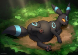 Shiny Umbreon Birth Sequence