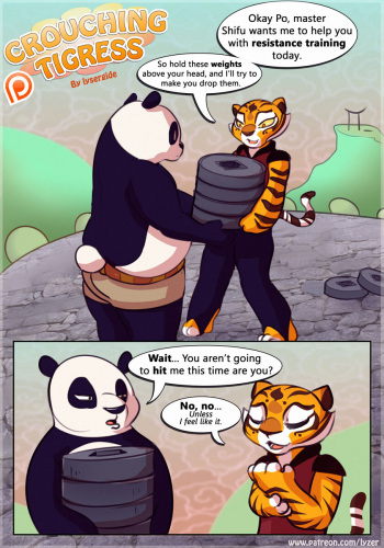 [Lysergide] Crouching Tigress (Kung-Fu Panda) cover
