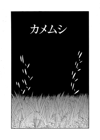 [mitumizo] [Doubutsutachi Seikatsu Zukan] Shiriizu Kamemushi cover