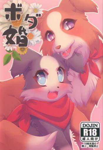 (Kansai! Kemoket 3) [PPOINO! (Various)] Boda kon cover