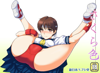 [Shinnihon Pepsitou (St.germain-sal)] Sakura iro (Street Fighter) [Digital] cover