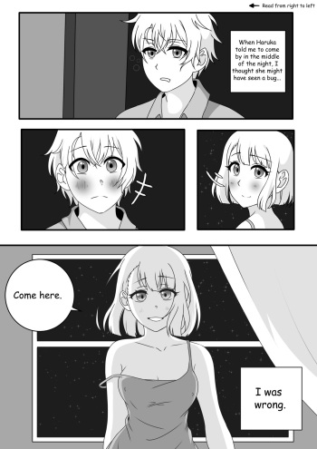 An Idols True Debut cover