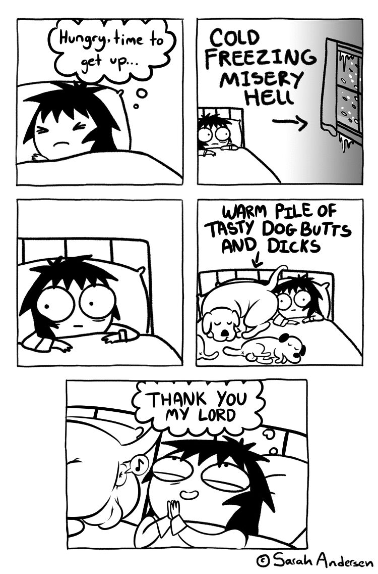 Sarah Andersen's Scribbles page 5 full