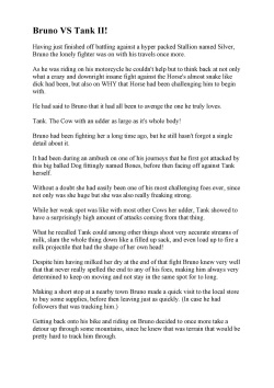 Bruno VS Tank!