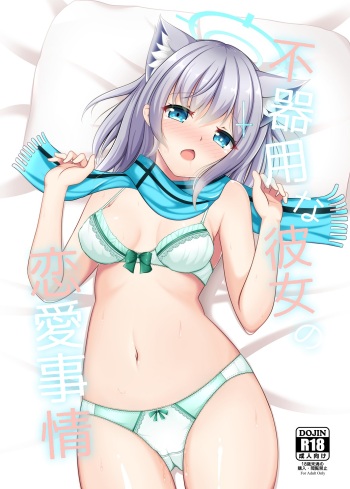 [Minato Akira]Shirokochan etchi hon sanpuru [blue archive )sample cover