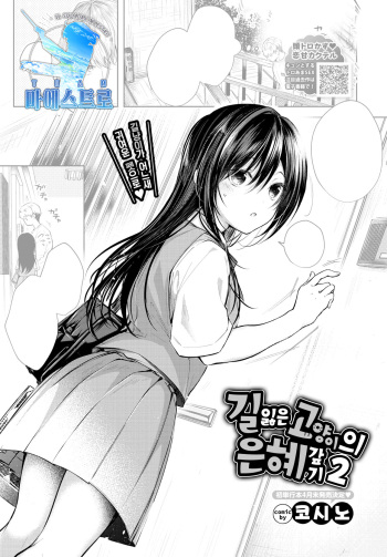 [Koshino] Mayoineko no Ongaeshi 2 | 길잃은 고양이의 은혜갚기 2 (COMIC BAVEL 2021-04) [Korean] [Sans Serif] [Digital] cover