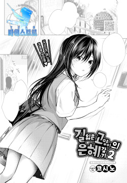 Mayoineko no Ongaeshi 2 | 길잃은 고양이의 은혜갚기 2