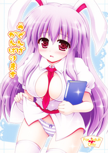 (HARUCC17) [I'm (Nagana Sayui)] Udonge Ganbarimasu (Touhou Project) [Spanish] cover