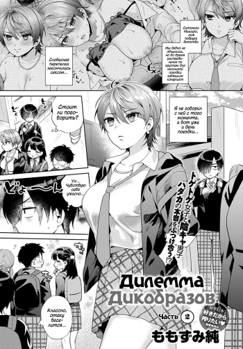[Momozumi Jun] Harinezumi no Dilemma 2 | Дилемма Дикобразов 2 (COMIC Anthurium 2021-12) [Russian] [Nopginer] [Digital] cover
