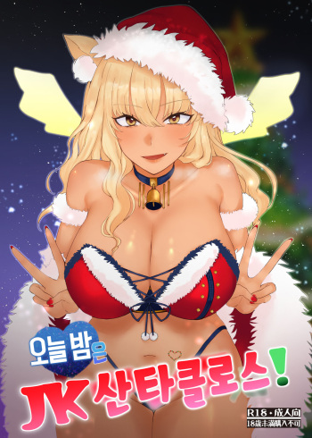 (C99) [Kishoutou (KISA)] Koyoi wa JK Santa ssho! | 오늘 밤은 JK 산타클로스! (Fate/Grand Order) [Korean] [dj2020] cover