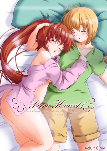 (C99) [D Cube (Misril)] Pure Heart 16th Episode (Mahou Shoujo Lyrical Nanoha) cover