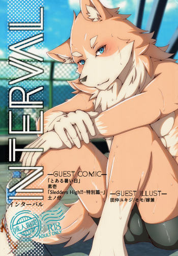 (Kansai! Kemoket 8) [SKID・MARK (Various)] INTERVAL cover
