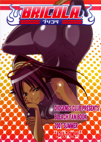 (C72) [Diogenes Club (Haikawa Hemlen)] BRICOLA (Bleach) [Russian] [Degrad] [Colorized] cover