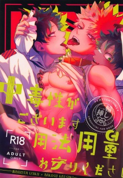 Chuudokusei ga Gozaimasu Youhou Youryou o Mamori Kudasai