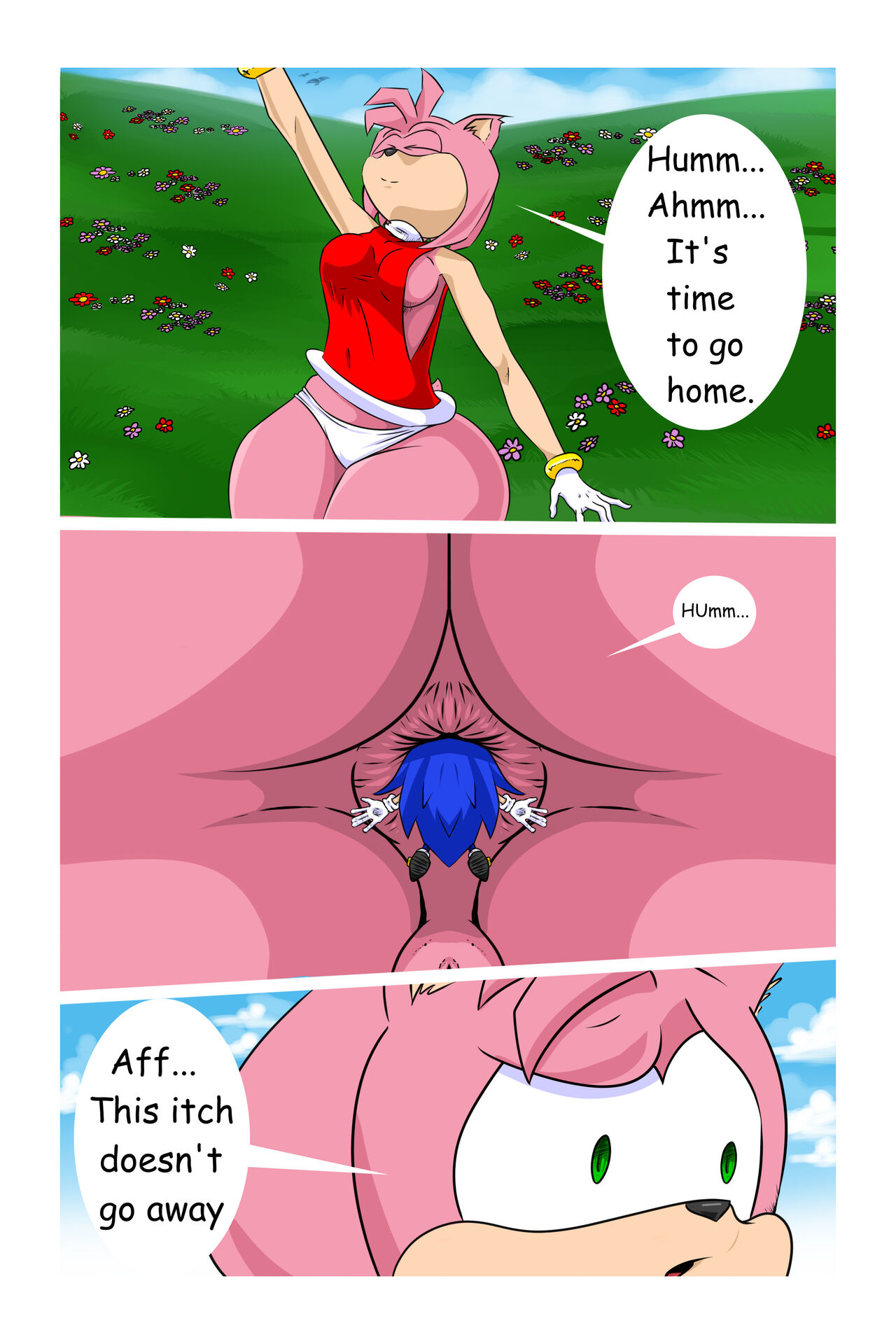 Sonic the Prisoner page 5 full