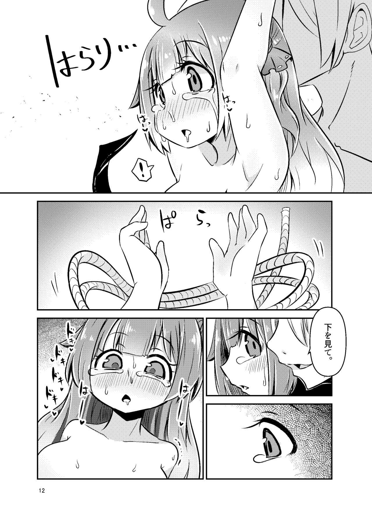 ShroUni R page 11 full