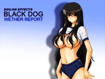 [Black Dog(Kuroinu Juu) & Sheep Pavilion] Weather Report [Colorful][Anime] cover