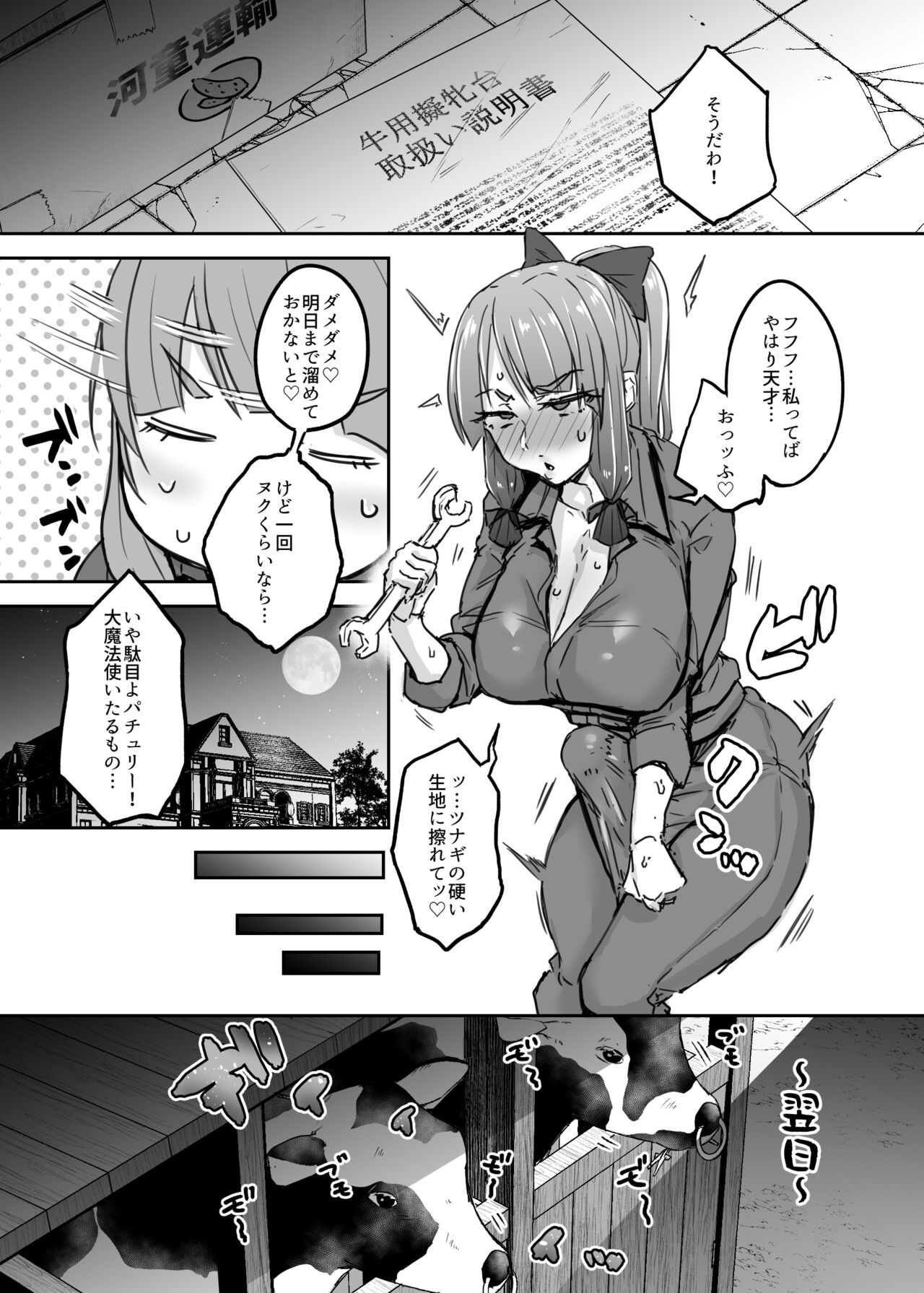 ふたなり大図書館が擬牝台でオナる話 page 7 full