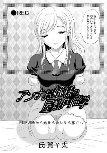 Study abroad inLady Anna's mansion cover