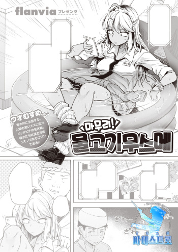 [flanvia] Oagari! Uomusume | 마무리! 물고기무스메 (COMIC X-EROS #95) [Korean] [팀 마에스트로] [Digital] cover