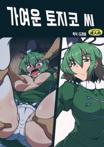 (Reitaisai 14) [Shimofuri Green Meat (Midori Niku)] Kawaisou na Tojiko-san | 가여운 토지코 씨 (Touhou Project) [Korean] [도레솔] cover