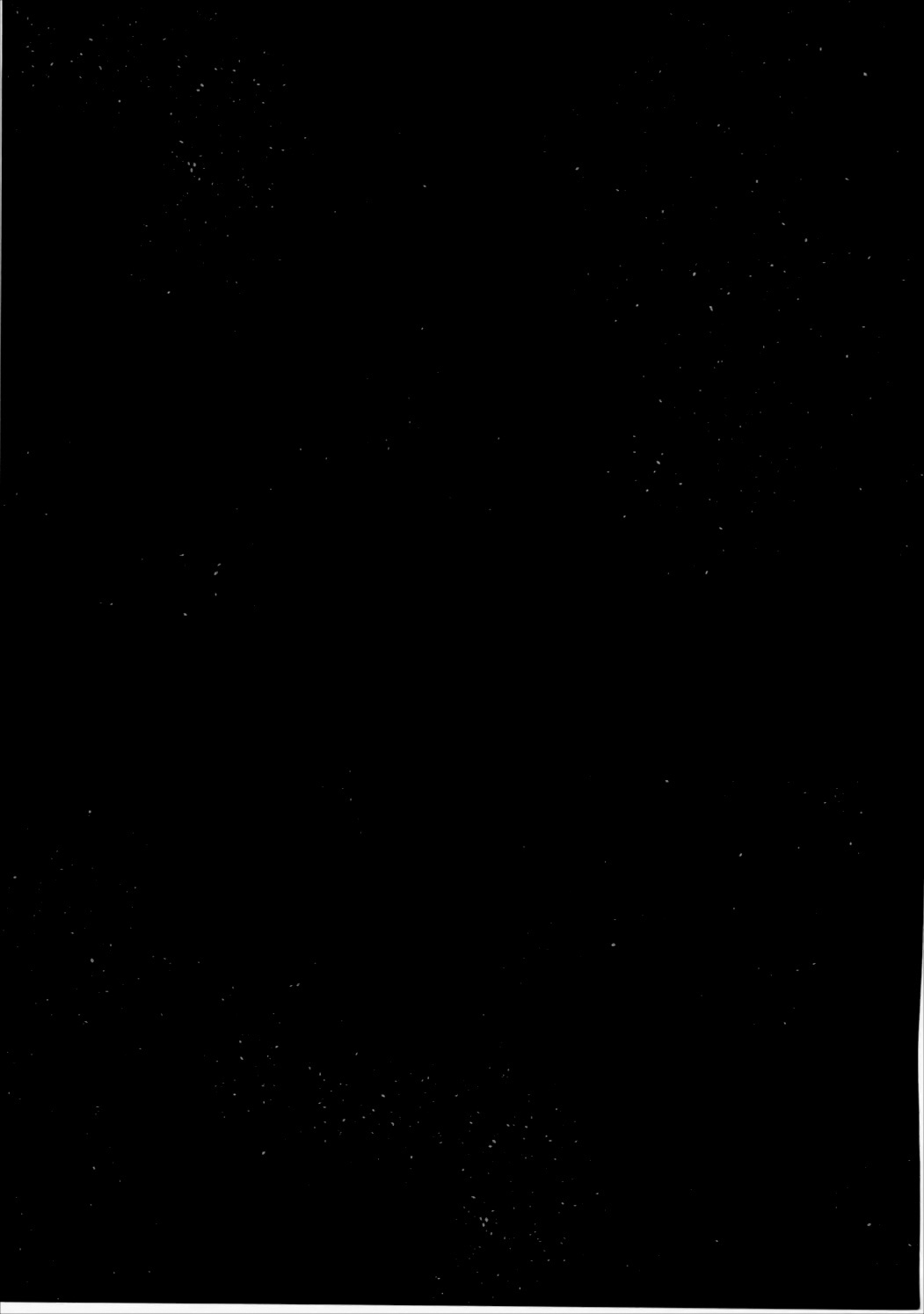 Aka to Ao no Maid-san ga Oni Kawaii Ken ni Tsuite  | In Regard to how the Red and Blue Maids are Extremely Cute page 12 full
