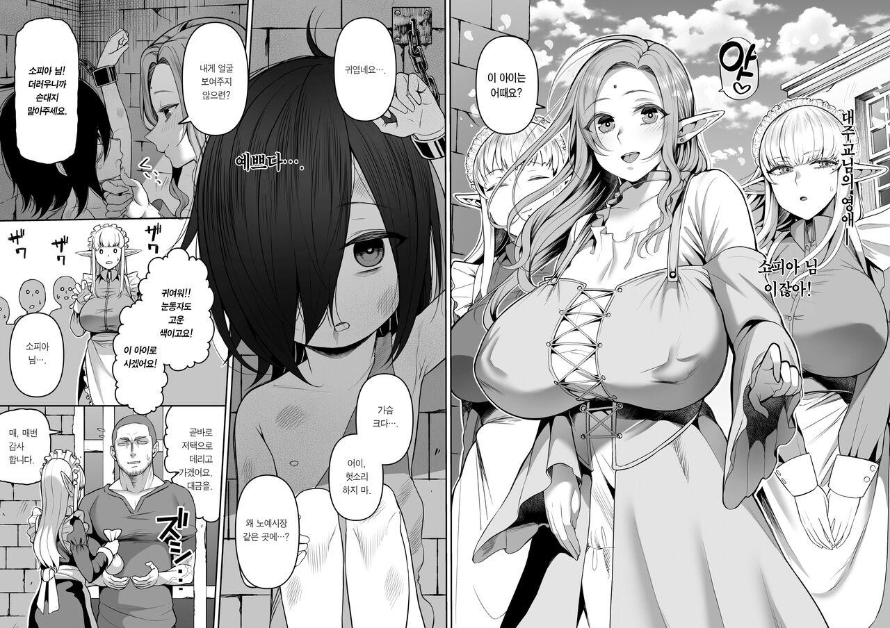 200-Nen Mo no Shojo Erufushota o Kau | 200살 처녀 엘프의 쇼타 기르기 page 5 full