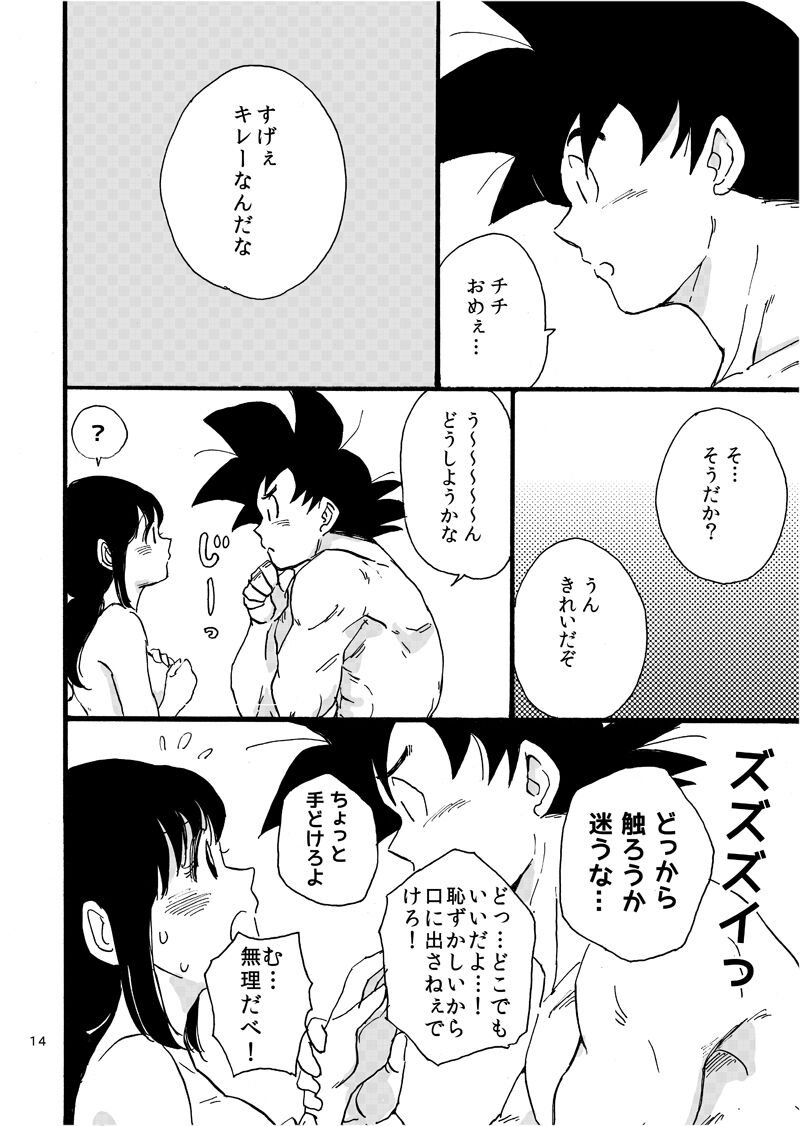 Spacomi new book sample and circle information goku x chichi page 3 full