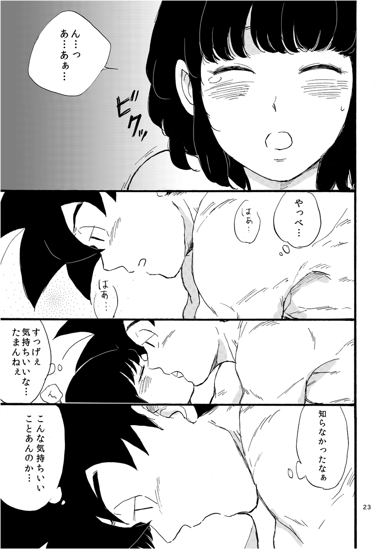 Spacomi new book sample and circle information goku x chichi page 4 full