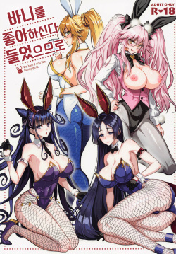 Bunny ga Osuki to Kikimashite - We heard you like bunny girls. | 바니를 좋아하신다 들었으므로