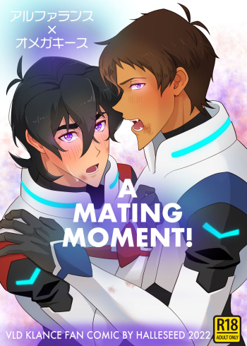 [halleseed] A MATING MOMENT! (Voltron: Legendary Defender) cover