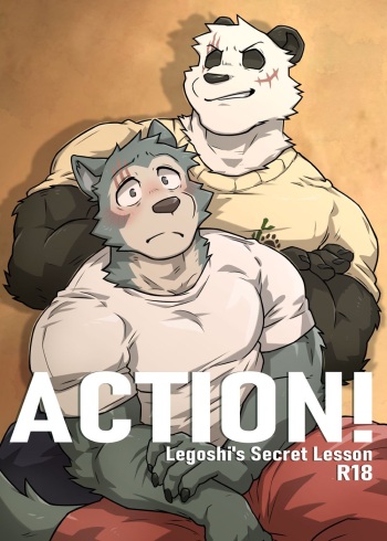 [Kumak] Legoshi's Secret Lesson cover