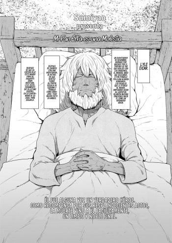 [Sumiyao] Yakkai na Fan Elf (Towako 13) [Spanish] [Rakuen Translations] [Digital] cover